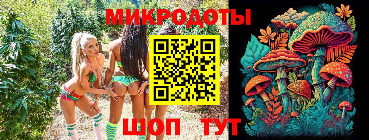Галлюциногенные грибы Psilocybine cubensis Дмитров