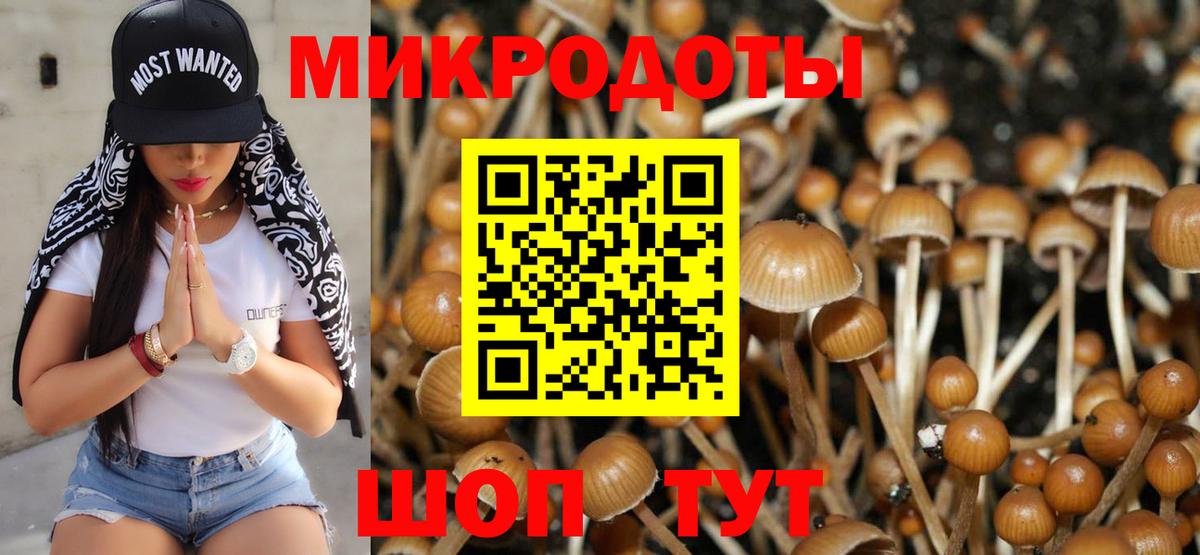 Дмитров  Галлюциногенные грибы мухоморы  Вход с VPN 